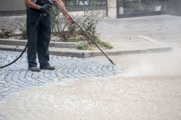 Best Pre-Holiday Cleaning  in Ferdand, IN